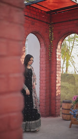 Black Zari-Thread & Sequins Embroidery Gown